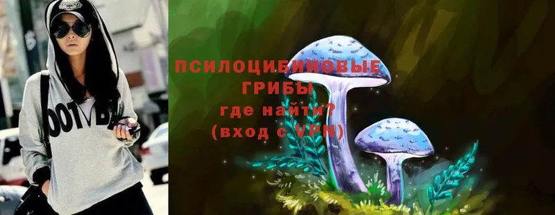 Псилоцибиновые грибы Psilocybe  даркнет как зайти  Белебей 